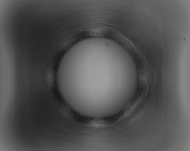 X0000101120603200807101544