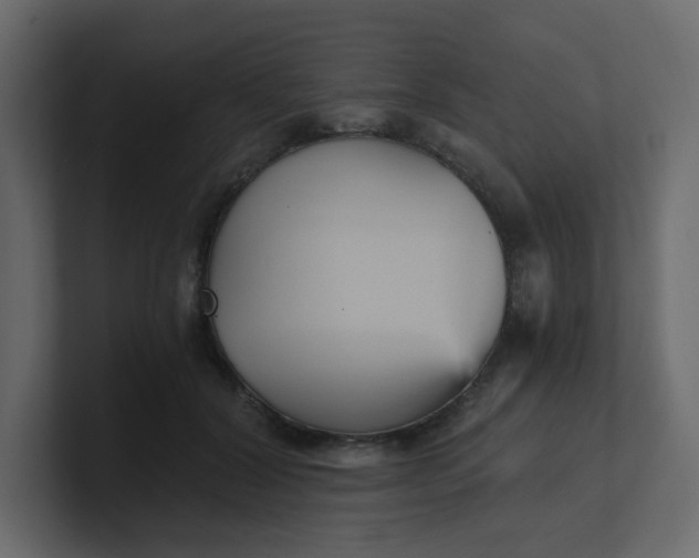 X0000101120604200807101544