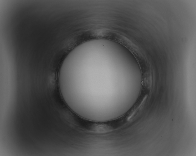 X0000101120605200807101544