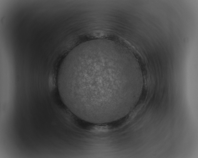 X0000101120606200807101544