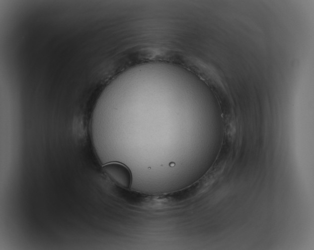 X0000101120607200807101544