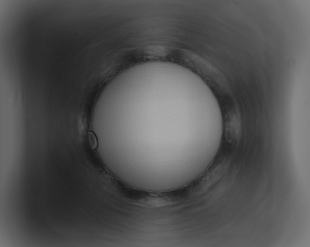 X0000101120608200807101544