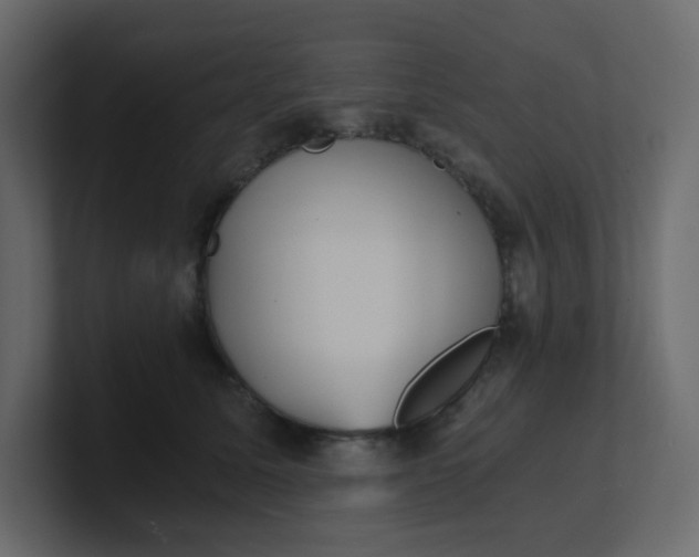 X0000101120611200807101544