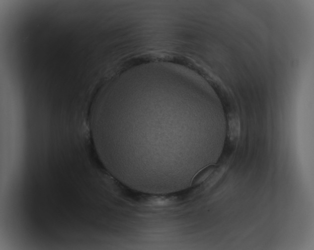 X0000101120613200807101544