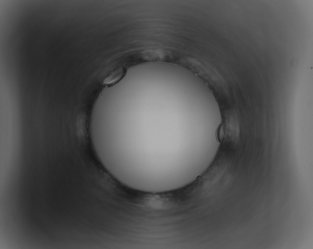 X0000101120616200807101544
