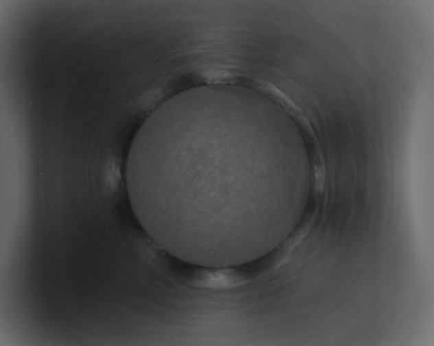 X0000101120618200807101544