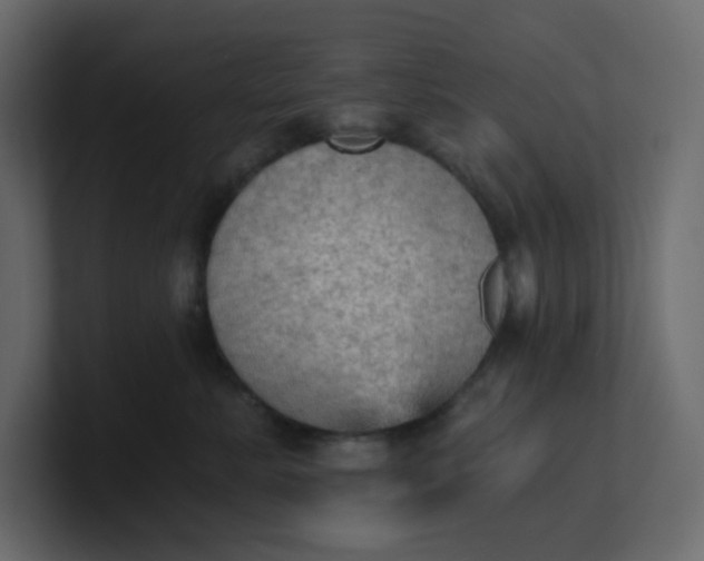 X0000101120619200807101544