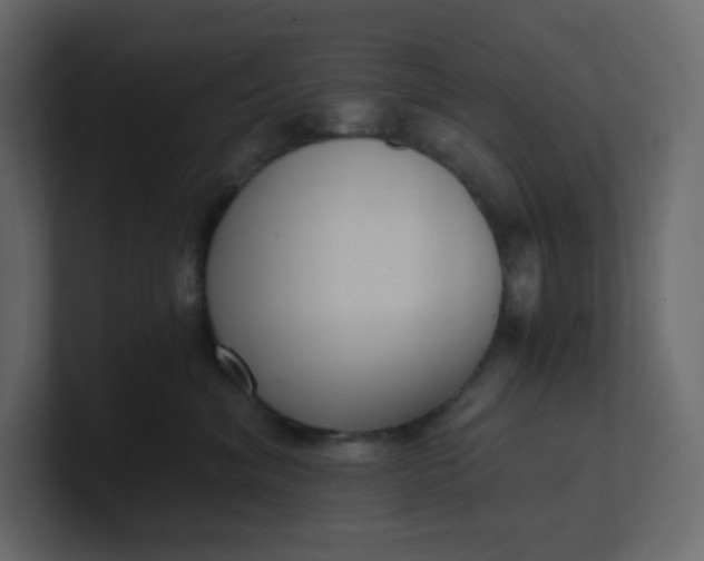 X0000101120620200807101544