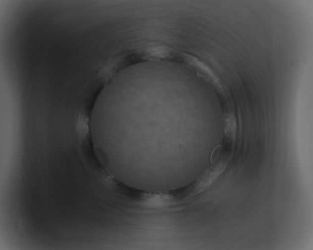 X0000101120621200807101544