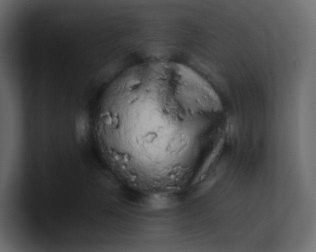 X0000101120623200807101544