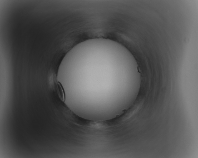 X0000101120624200807101544