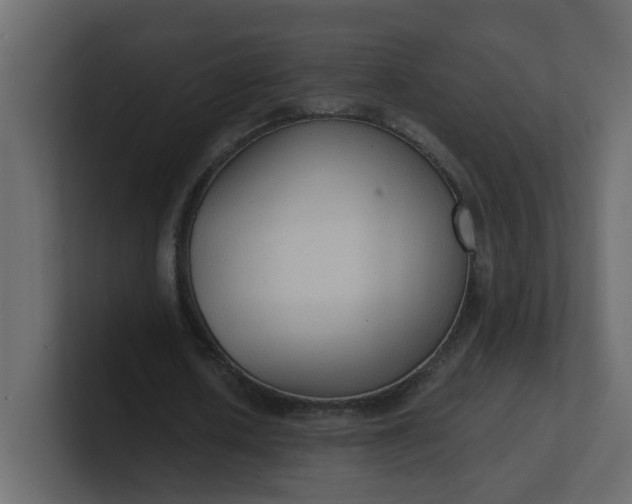 X0000101120626200807101543