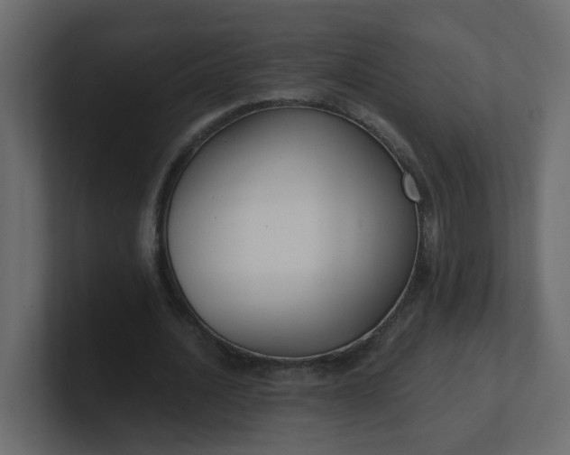 X0000101120628200807101543