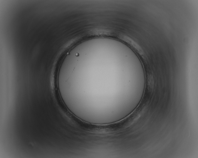X0000101120629200807101544