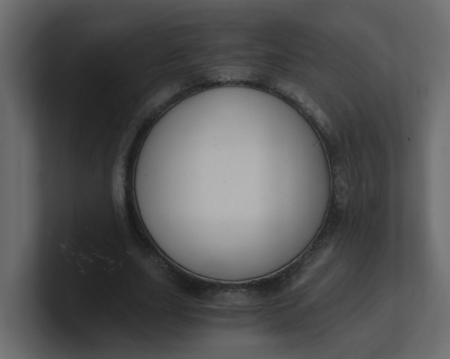 X0000101120631200807101544