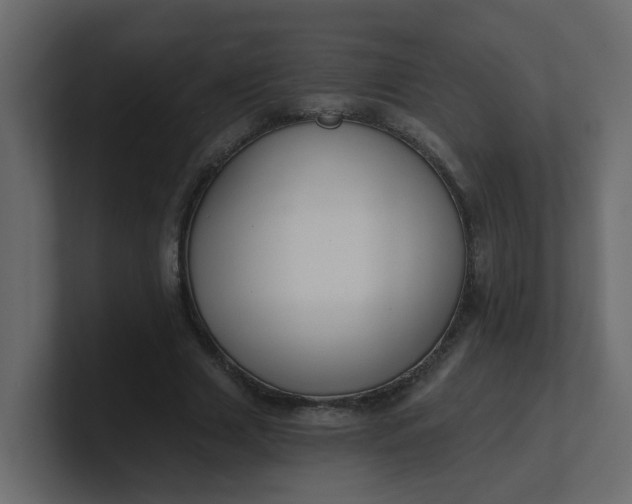 X0000101120633200807101544