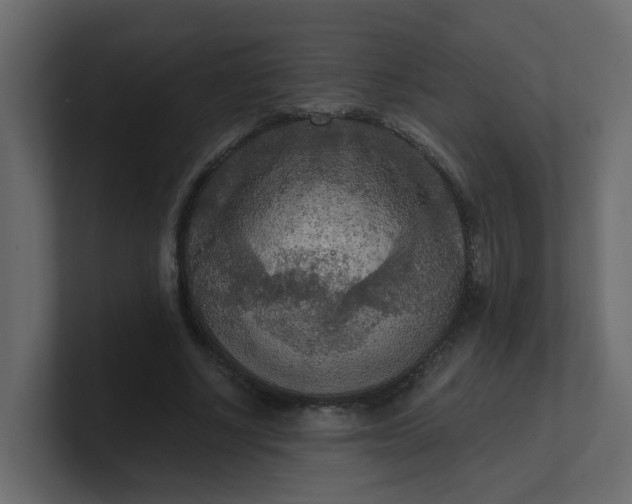 X0000101120634200807101544
