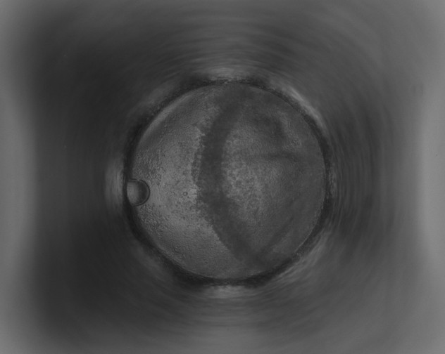 X0000101120637200807101544