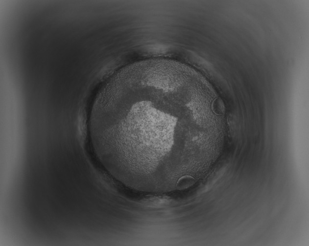 X0000101120642200807101544