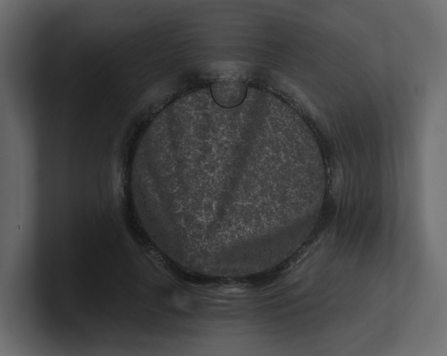 X0000101120643200807101544