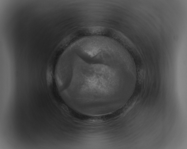 X0000101120644200807101544