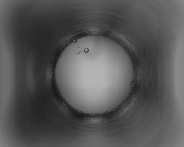 X0000101120645200807101544