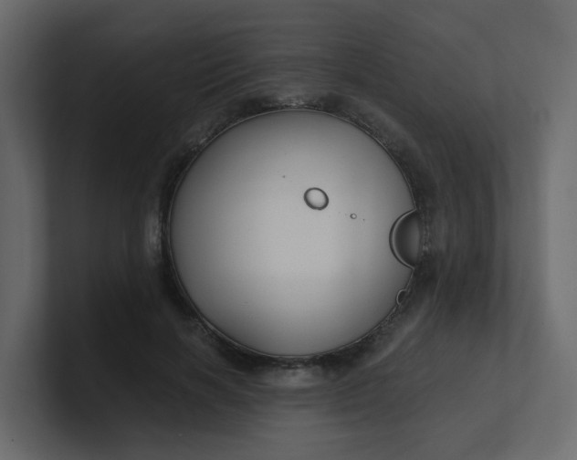 X0000101120646200807101544