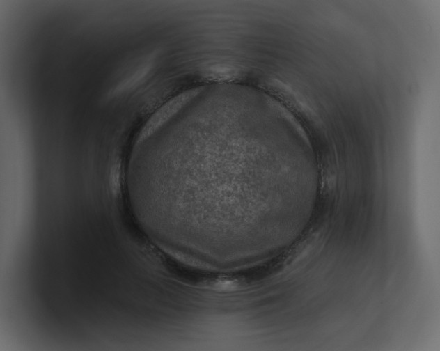 X0000101120647200807101544