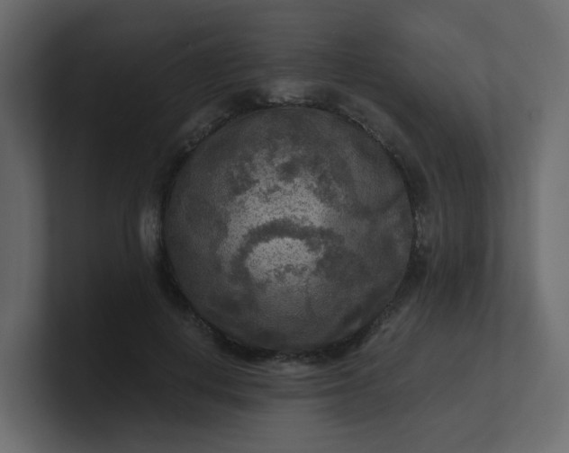 X0000101120648200807101544