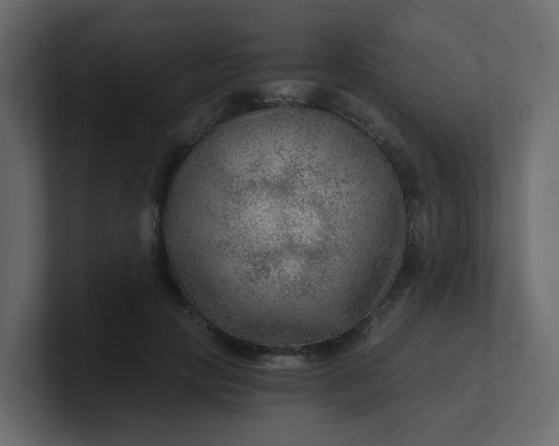 X0000101120649200807101544
