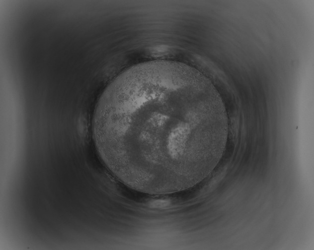 X0000101120653200807101544