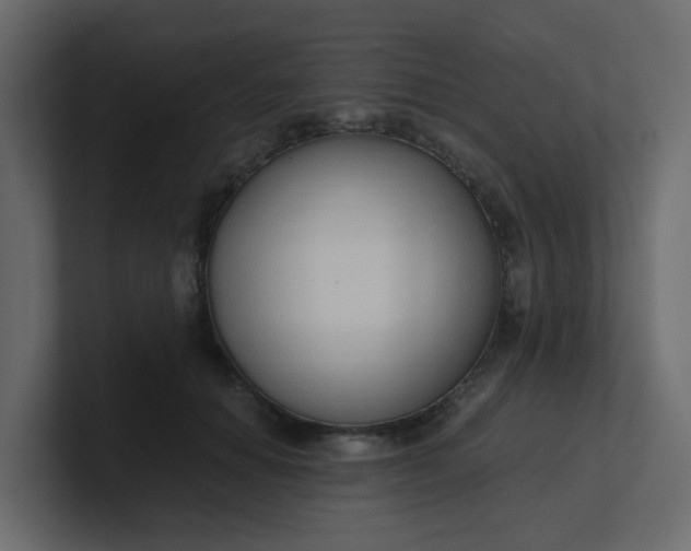 X0000101120654200807101544