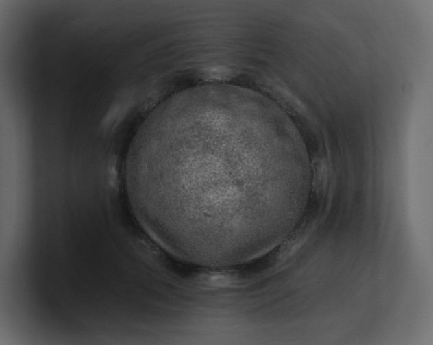 X0000101120655200807101544