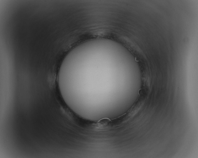 X0000101120660200807101544