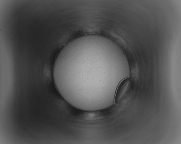 X0000101120662200807101544