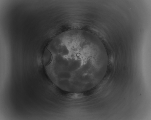 X0000101120663200807101544