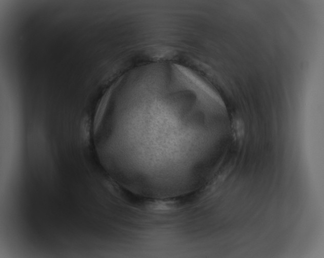 X0000101120664200807101544