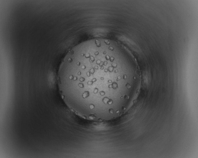 X0000101120667200807101544