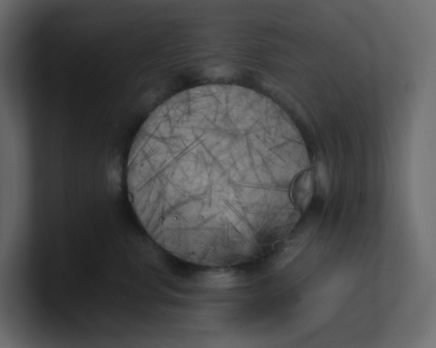X0000101120668200807101544