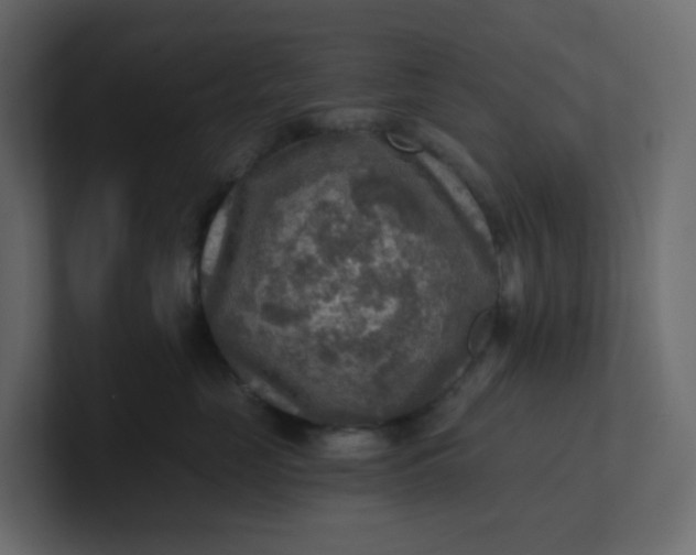 X0000101120669200807101544