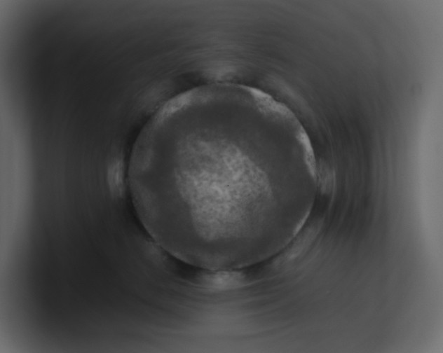 X0000101120670200807101544