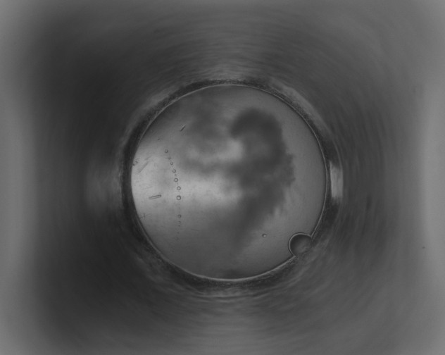 X0000101120675200807101543