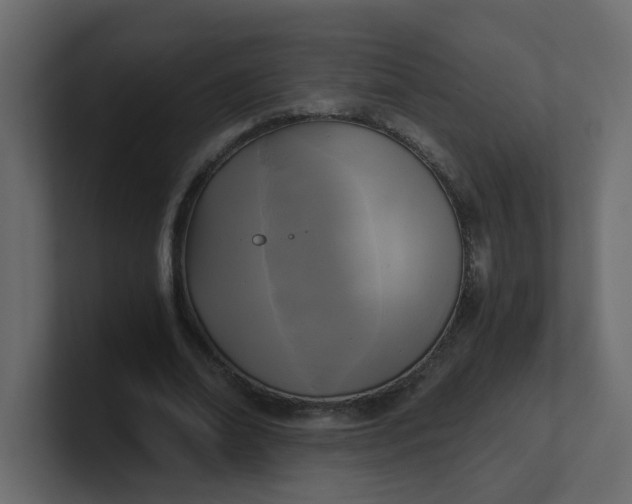 X0000101120678200807101543