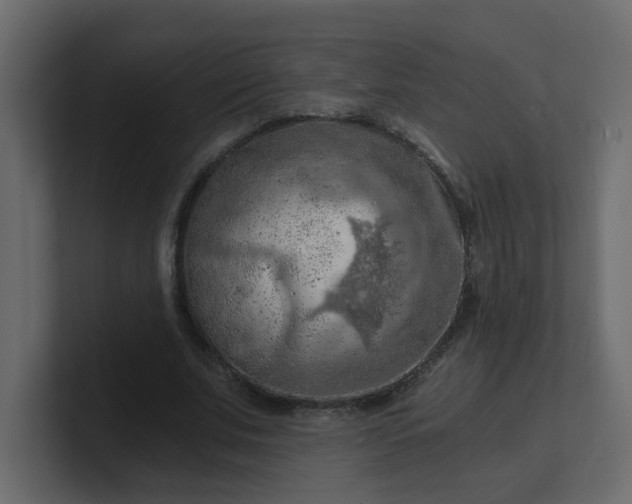 X0000101120679200807101543
