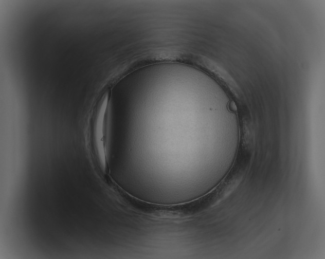 X0000101120681200807101543