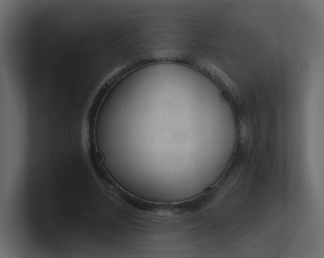X0000101120684200807101543