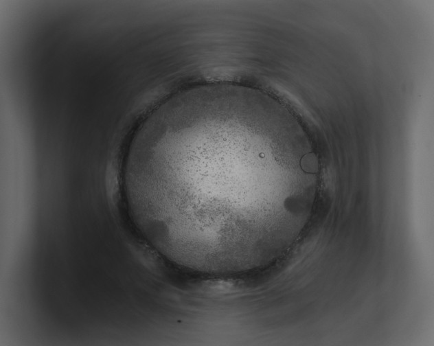 X0000101120687200807101543