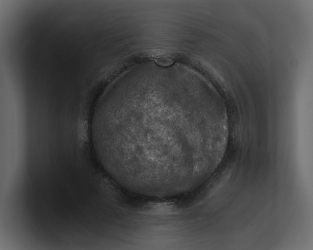 X0000101120689200807101543