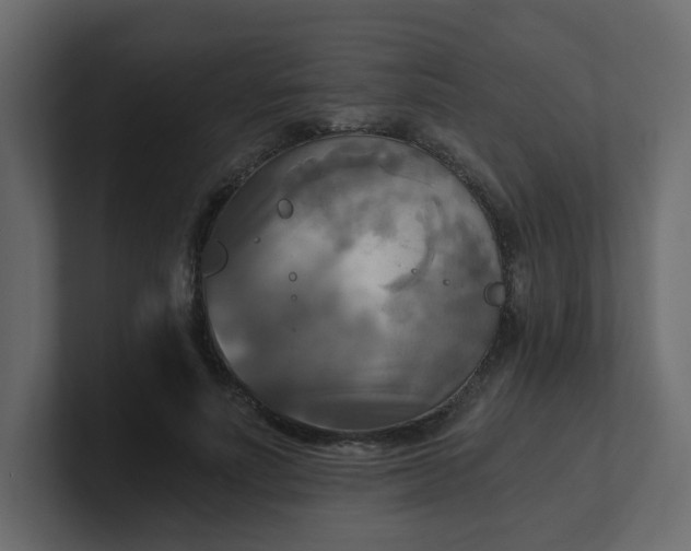 X0000101120691200807101543