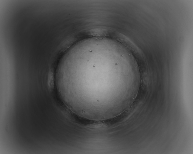 X0000101120696200807101543